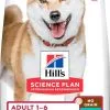 Hill's Science Plan No Grain Adult Croquettes Sans Céréales Pour Chien Adulte Au Thon - 14kg -Animal De Compagnie Soldes 2024 0bbd8725d10bd6e05d6cea320bfed39eefd2ffad857e36c4bcc838cb5ef9eb2e