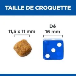Hill's Science Plan Chien Adult Medium Agneau -Animal De Compagnie Soldes 2024 1644425540050 full 1
