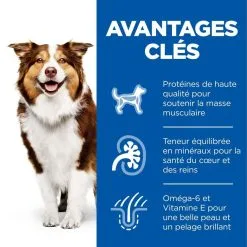 Hill's Science Plan Chien Mature Adult 7+ Medium Poulet 11 Hill's Science Plan Chien Mature Adult 7+ Medium Poulet -Animal De Compagnie Soldes 2024 1644426283170 full 1