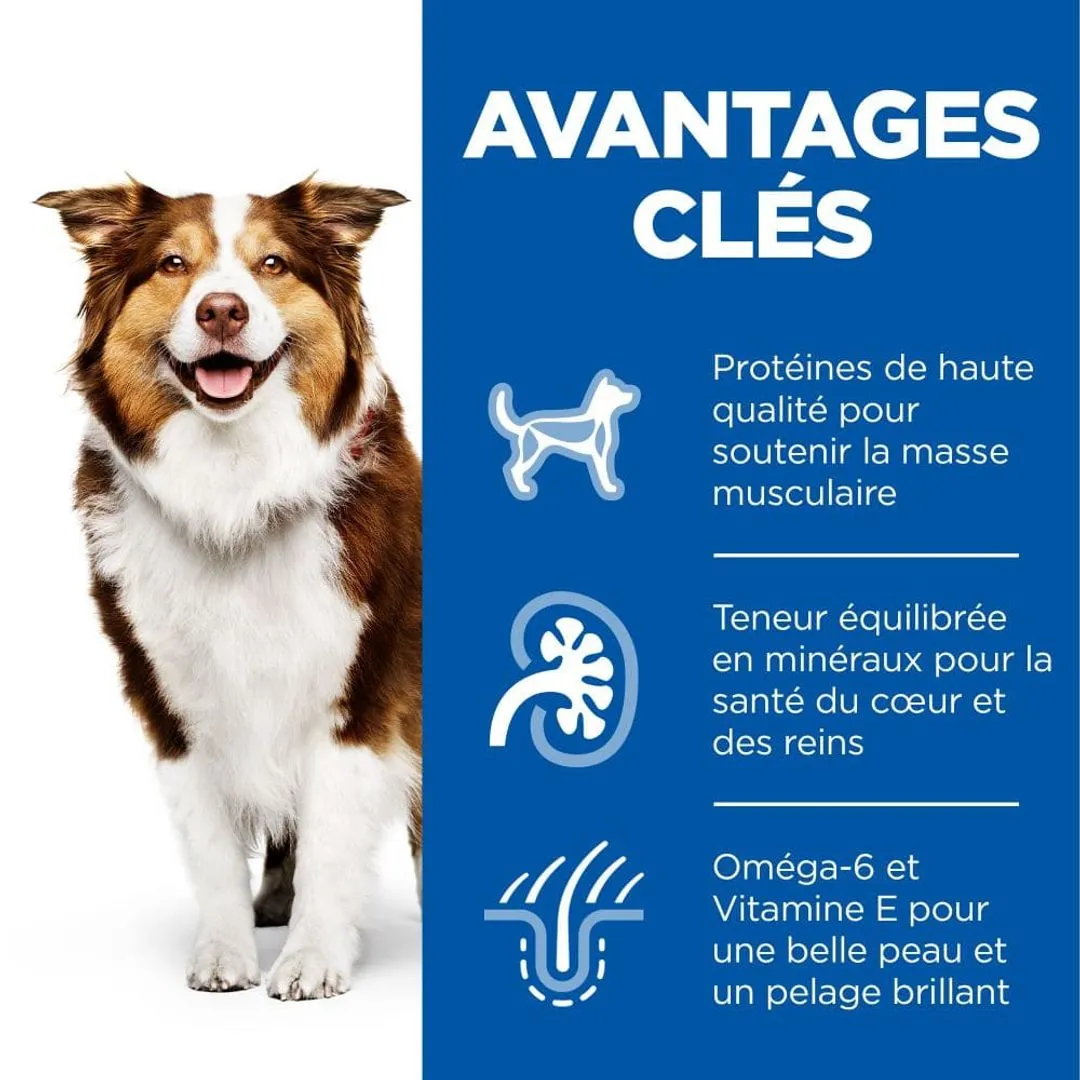Hill's Science Plan Chien Mature Adult 7+ Medium Poulet 5 Hill's Science Plan Chien Mature Adult 7+ Medium Poulet – Image 3