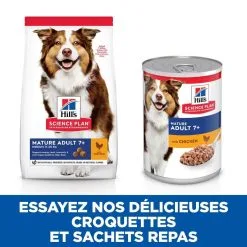Hill's Science Plan Chien Mature Adult 7+ Medium Poulet -Animal De Compagnie Soldes 2024 1644426291723 full