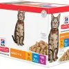 Hill's Science Plan Chat Adult Multipack -Animal De Compagnie Soldes 2024 1645628564322 full
