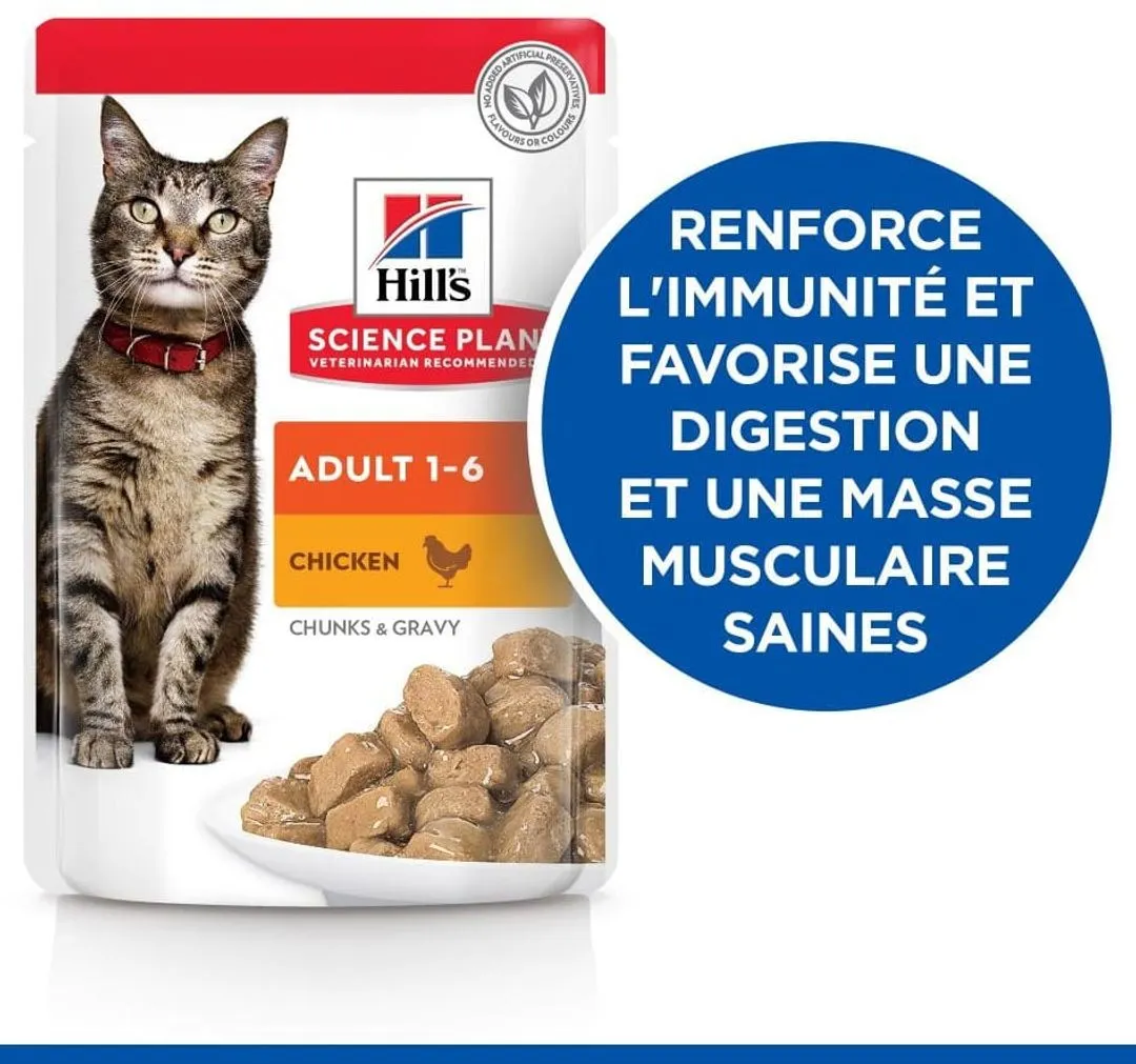 Hill's Science Plan Chat Adult Multipack 7 Hill's Science Plan Chat Adult Multipack – Image 5