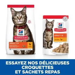Hill's Science Plan Chat Adult Poulet -Animal De Compagnie Soldes 2024 1645631758030 full 1