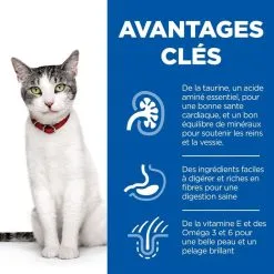 Hill's Hill’s Science Plan Chat Senior 11+ Poulet -Animal De Compagnie Soldes 2024 1645808349105 full