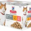 Hill's Hill’s Science Plan Chat Sterilised Multipack -Animal De Compagnie Soldes 2024 1645809840032 full