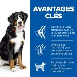 Hill's Science Plan Chien Adult Large Breed Poulet -Animal De Compagnie Soldes 2024 1646043379750 full 1