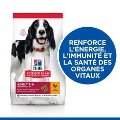 Hill's Science Plan Chien Adult Medium Poulet 9 Hill's Science Plan Chien Adult Medium Poulet -Animal De Compagnie Soldes 2024 1646045032743 full 1