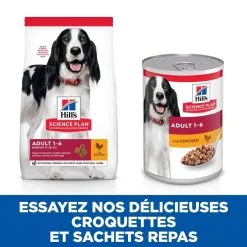 Hill's Science Plan Chien Adult Medium Poulet 11 Hill's Science Plan Chien Adult Medium Poulet -Animal De Compagnie Soldes 2024 1646045040680 full