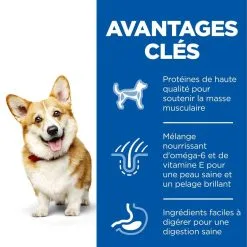Hill's Science Plan Chien Adult Small&Mini Poulet 10 Hill's Science Plan Chien Adult Small&Mini Poulet -Animal De Compagnie Soldes 2024 1646045286336 full