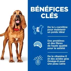 Hill's Science Plan Chien Mature Adult 7+ Light Medium Poulet -Animal De Compagnie Soldes 2024 1646060521002 full