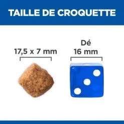 Hill's Science Plan Chien Mature Adult 6+ Large Breed Poulet 12 Hill's Science Plan Chien Mature Adult 6+ Large Breed Poulet -Animal De Compagnie Soldes 2024 1646061290845 full