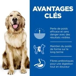 Hill's Science Plan Chien Large Adult Perfect Weight -Animal De Compagnie Soldes 2024 1646068880784 full