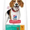 Hill's Science Plan Chien Adult Perfect Weight Medium Poulet 2 Hill's Science Plan Chien Adult Perfect Weight Medium Poulet -Animal De Compagnie Soldes 2024 1646069138279 full