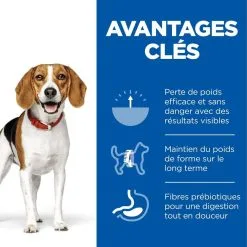 Hill's Science Plan Chien Adult Perfect Weight Medium Poulet -Animal De Compagnie Soldes 2024 1646069145640 full