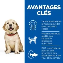 Hill's Science Plan Chien Puppy Large Breed -Animal De Compagnie Soldes 2024 1646070077708 full