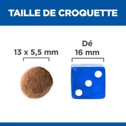 Hill's Science Plan Chien Puppy Large Breed -Animal De Compagnie Soldes 2024 1646070084064 full