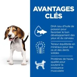 Hill's Science Plan Chien Puppy Medium Poulet -Animal De Compagnie Soldes 2024 1646151389534 full
