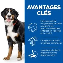 Hill's Science Plan Chien Mature Adult 6+ Senior Vitality Large Breed Poulet 9 Hill's Science Plan Chien Mature Adult 6+ Senior Vitality Large Breed Poulet -Animal De Compagnie Soldes 2024 1646152003409 full