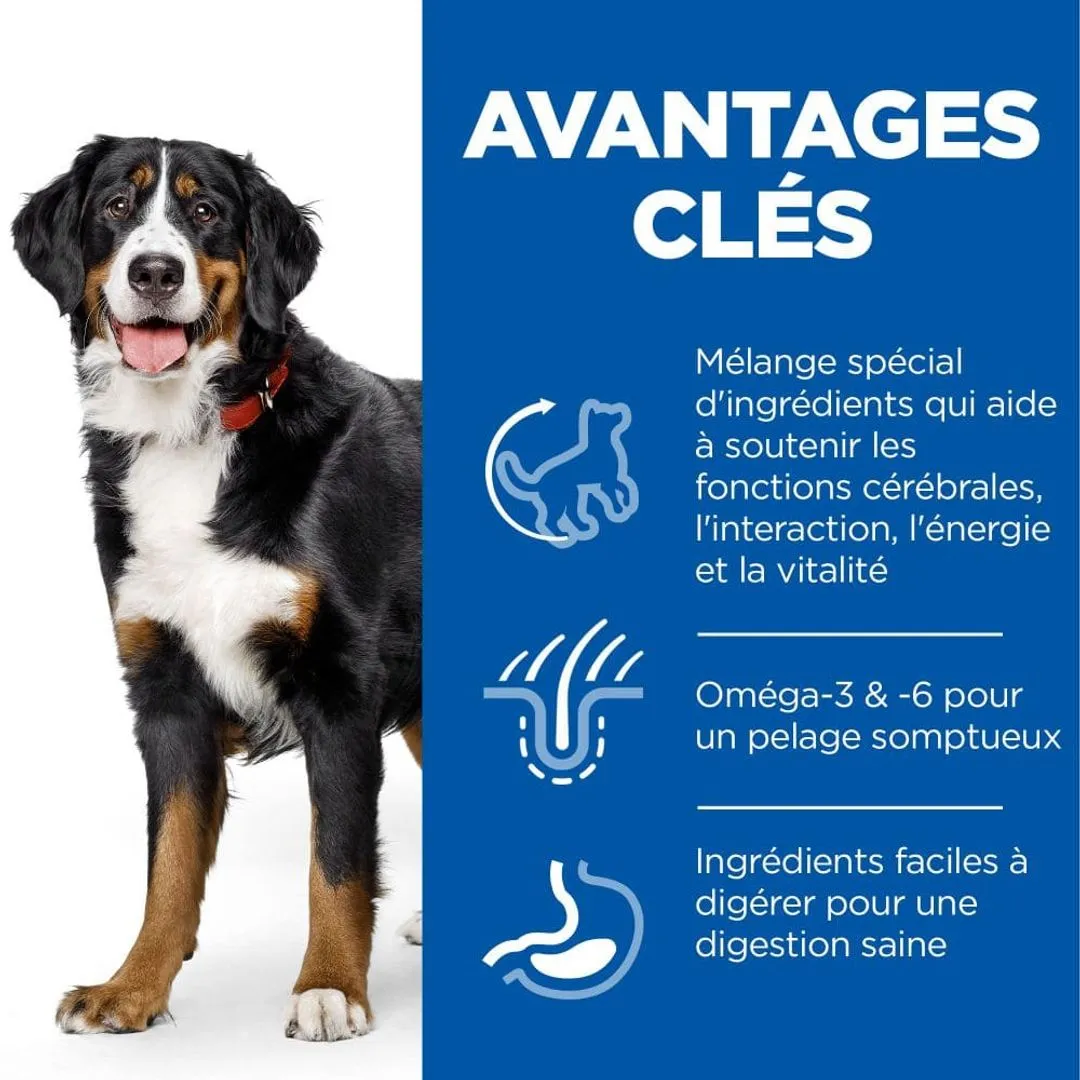 Hill's Science Plan Chien Mature Adult 6+ Senior Vitality Large Breed Poulet 5 Hill's Science Plan Chien Mature Adult 6+ Senior Vitality Large Breed Poulet – Image 3
