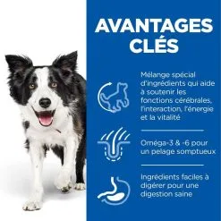 Hill's Science Plan Chien Mature Adult 7+ Senior Vitality Medium Poulet -Animal De Compagnie Soldes 2024 1646152178617 full