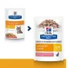 Hill's Prescription Diet Chat C/d Urinary Multicare Sachet Saumon -Animal De Compagnie Soldes 2024 1646300475852 full