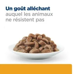 Hill's Prescription Diet Chat C/d Urinary Multicare Sachet Saumon -Animal De Compagnie Soldes 2024 1646300493902 full