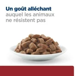 Hill's Prescription Diet Chat I/d Digestive Sachet Adult & Kitten Poulet -Animal De Compagnie Soldes 2024 1647876435137 full