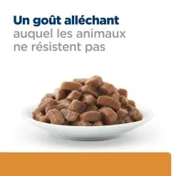 Hill's Prescription Diet Chat K/d Kidney Sachet Bœuf -Animal De Compagnie Soldes 2024 1647967946480 full