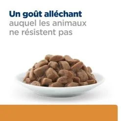 Hill's Prescription Diet Chat K/d Kidney Sachet Poulet -Animal De Compagnie Soldes 2024 1647968512736 full