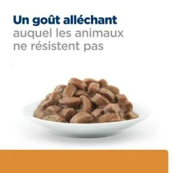 Hill's Prescription Diet Chat K/d Kidney Sachet Saumon 15 Hill's Prescription Diet Chat K/d Kidney Sachet Saumon -Animal De Compagnie Soldes 2024 1647968995560 full