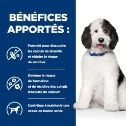 Hill's Prescription Diet Chien C/d Urinary Multicare Poulet 13 Hill's Prescription Diet Chien C/d Urinary Multicare Poulet -Animal De Compagnie Soldes 2024 1648634514548 full