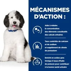 Hill's Prescription Diet Chien C/d Urinary Multicare Poulet 14 Hill's Prescription Diet Chien C/d Urinary Multicare Poulet -Animal De Compagnie Soldes 2024 1648634518953 full