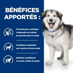 Hill's Prescription Diet Chien C/d Urinary Multicare+Metabolic -Animal De Compagnie Soldes 2024 1648635391181 full