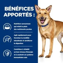 Hill's Prescription Diet Chien I/d Digestive Boîte Adult & Puppy Dinde 13 Hill's Prescription Diet Chien I/d Digestive Boîte Adult & Puppy Dinde -Animal De Compagnie Soldes 2024 1648636926572 full