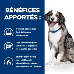 Hill's Prescription Diet Chien I/d Sensitive Digestive Adult & Puppy Oeuf & Riz -Animal De Compagnie Soldes 2024 1648645764532 full