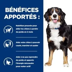 Hill's Prescription Diet Chien J/d Metabolic+Mobility Poulet -Animal De Compagnie Soldes 2024 1648740978118 full 1