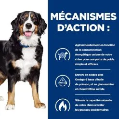Hill's Prescription Diet Chien J/d Metabolic+Mobility Poulet -Animal De Compagnie Soldes 2024 1648740981495 full 1