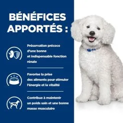 Hill's Prescription Diet Chien K/d Kidney Early Stage -Animal De Compagnie Soldes 2024 1648744660029 full