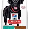 Hill's Science Plan Chien Adulte Large Perfect Weight & Active Mobility -Animal De Compagnie Soldes 2024 1649319833240 full