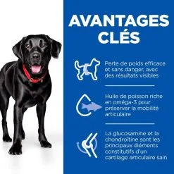 Hill's Science Plan Chien Adulte Large Perfect Weight & Active Mobility -Animal De Compagnie Soldes 2024 1649319840841 full