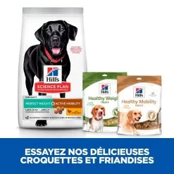 Hill's Science Plan Chien Adulte Large Perfect Weight & Active Mobility -Animal De Compagnie Soldes 2024 1649319844426 full