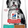 Hill's Science Plan Chien Adulte Medium Perfect Weight & Active Mobility -Animal De Compagnie Soldes 2024 1649321727503 full