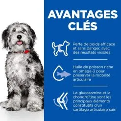 Hill's Science Plan Chien Adulte Medium Perfect Weight & Active Mobility 11 Hill's Science Plan Chien Adulte Medium Perfect Weight & Active Mobility -Animal De Compagnie Soldes 2024 1649321734508 full