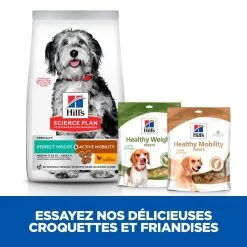 Hill's Science Plan Chien Adulte Medium Perfect Weight & Active Mobility 12 Hill's Science Plan Chien Adulte Medium Perfect Weight & Active Mobility -Animal De Compagnie Soldes 2024 1649321737697 full