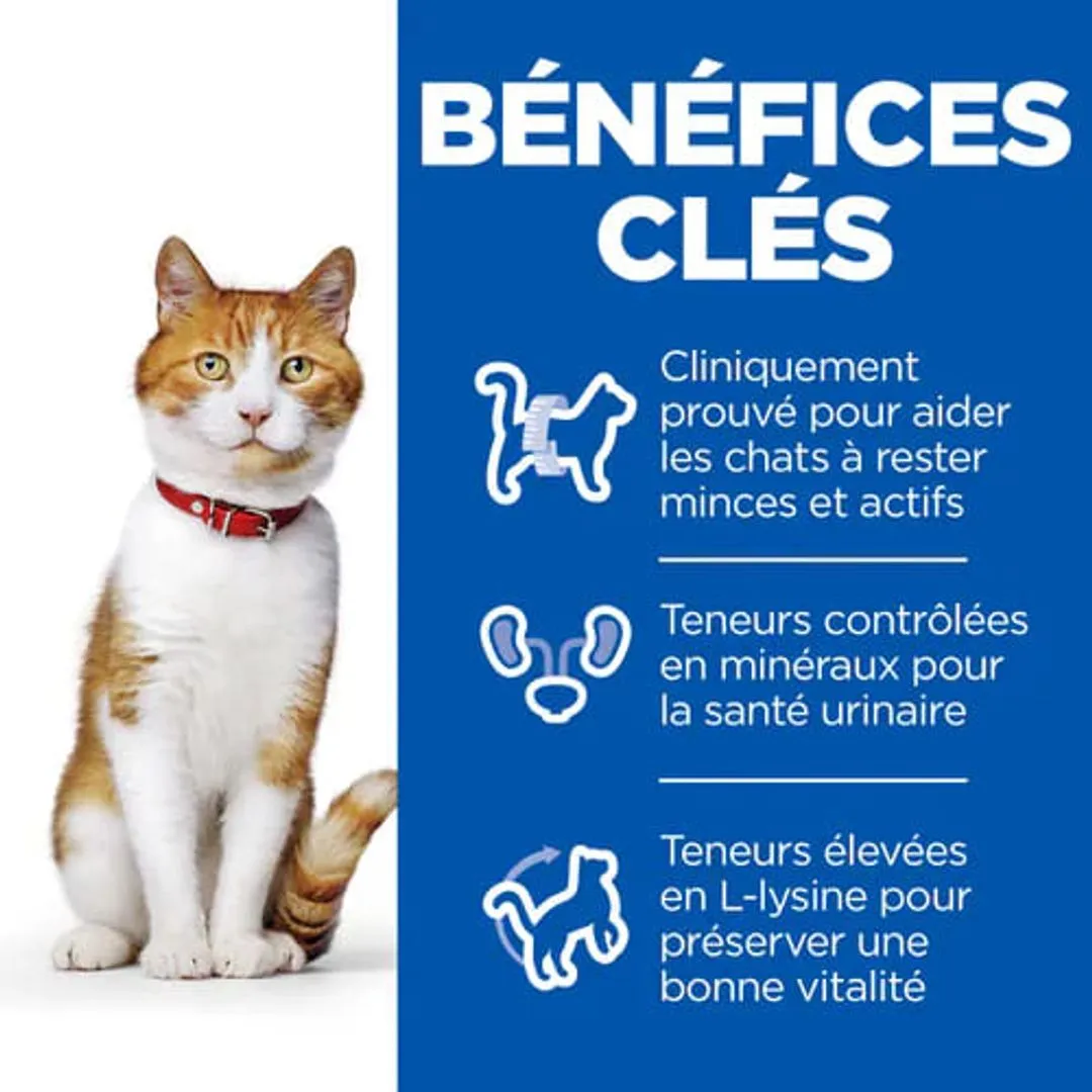 Hill's Hill’s Science Plan Chat Sterilised Adult Poulet – Sachets 4 Hill's Hill’s Science Plan Chat Sterilised Adult Poulet – Sachets – Image 2