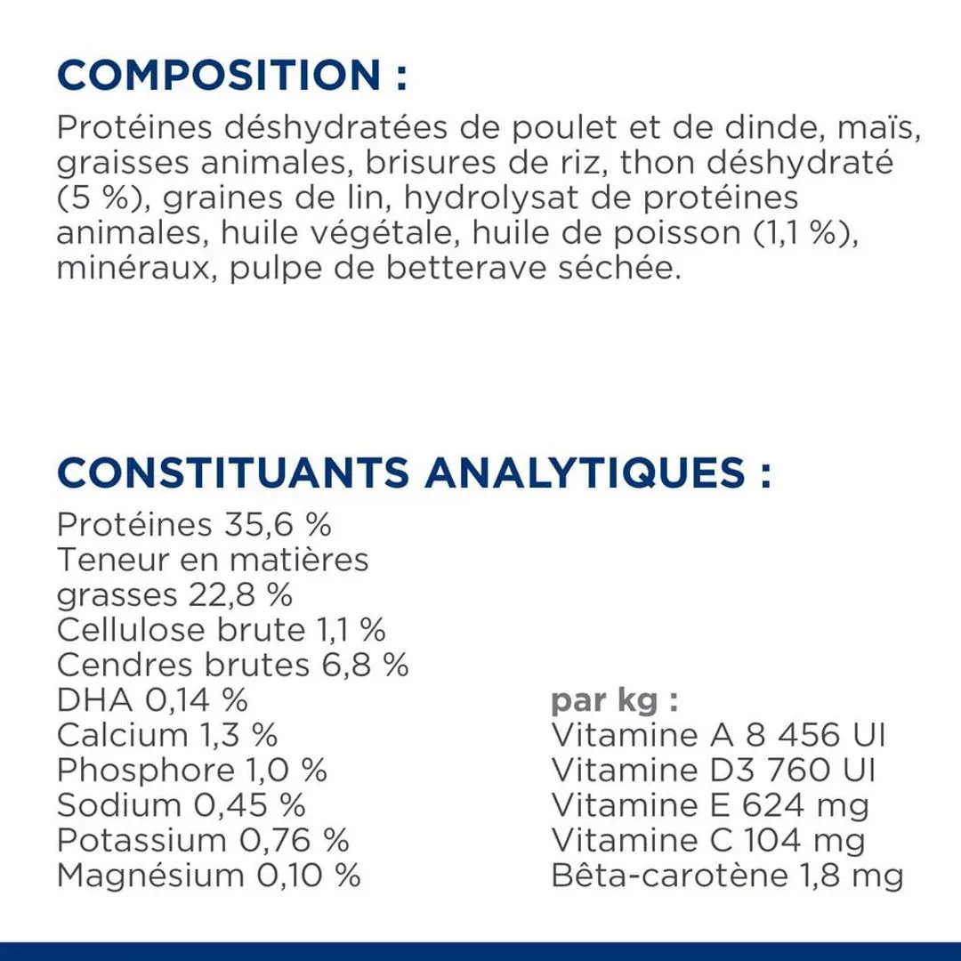 Hill's Science Plan Chat Kitten Thon 8 Hill's Science Plan Chat Kitten Thon – Image 6
