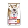 Hill's Science Plan No Grain Chien Adulte De Race Moyenne - Poulet -14 Kg -Animal De Compagnie Soldes 2024 1cd202b4d30817a6cd10405730b967683638c4e5fa6831e84afb06cd4ee64563