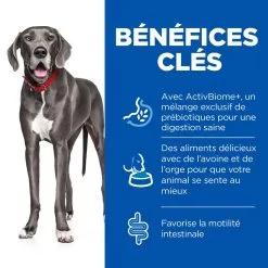 Hill's Science Plan Chien Large Breed Perfect Digestion -Animal De Compagnie Soldes 2024 2 full 2