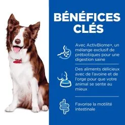 Hill's Science Plan Chien Medium Perfect Digestion -Animal De Compagnie Soldes 2024 2 full 6